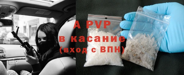 ГАЛЛЮЦИНОГЕННЫЕ ГРИБЫ Горняк