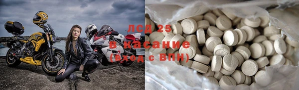 гидра Вязники