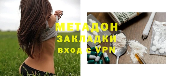ГАЛЛЮЦИНОГЕННЫЕ ГРИБЫ Горняк