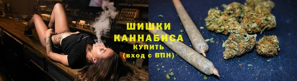 гидра Вязники
