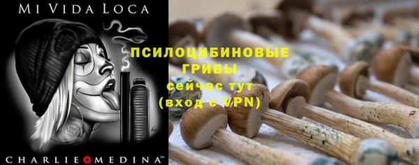 крисы Вяземский