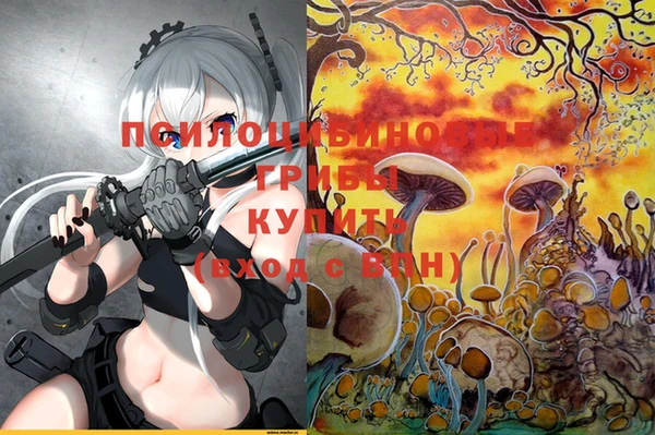 каннабис Горно-Алтайск