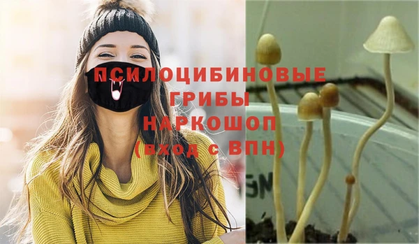 дурь Вязьма