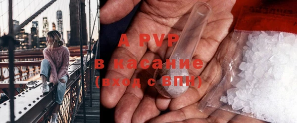 крисы Вяземский